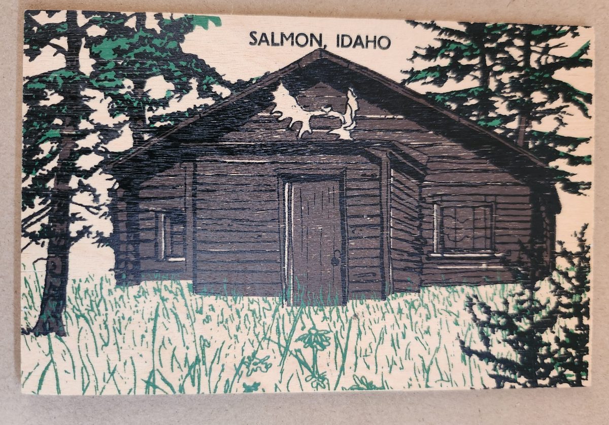 Our Need for&nbsp;Novelty