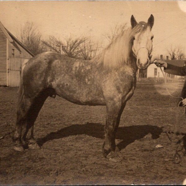 Silent Stare from Last&nbsp;Century