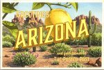 A retro-looking postcard of a desert landscape and a lemon tree that reads Greetings from Arizona and your friends at The Posted Past.