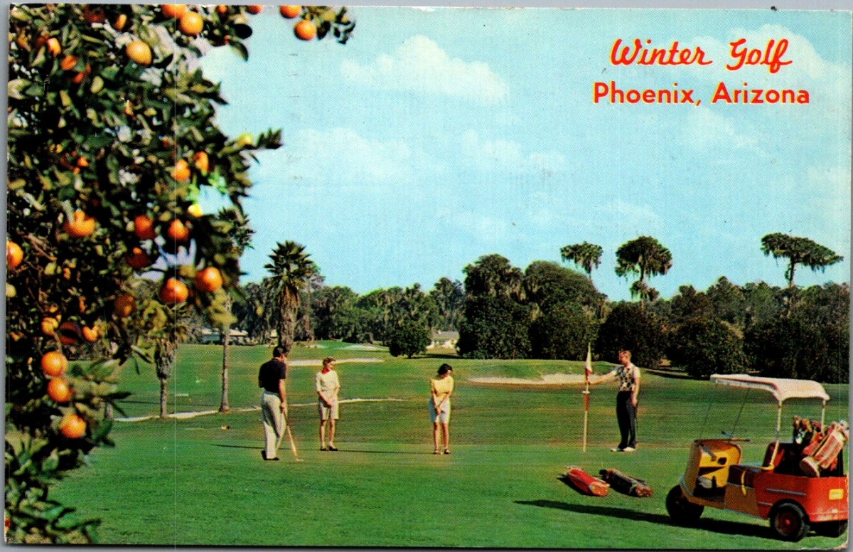 Mid-century Arizona chrome postcard from Petley Studios